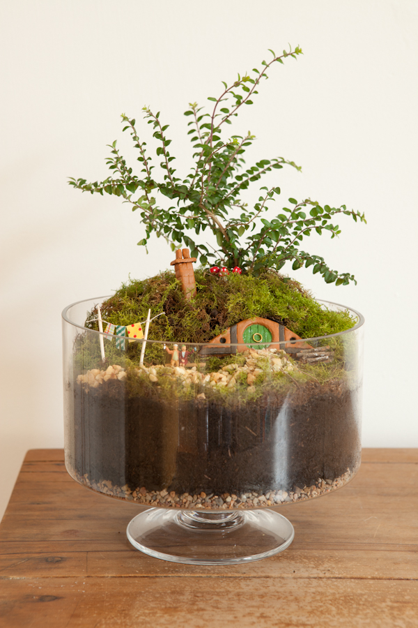 Make Your Own Hobbiton Miniature Garden via Crafttuts+