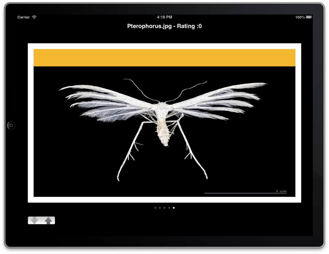 Finished App