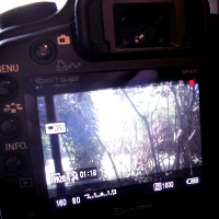 Getting Started with DSLR Video: Part One