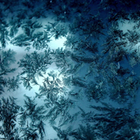 10 Top Tips for Capturing the Winter Cold