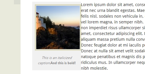 Caption look on the site