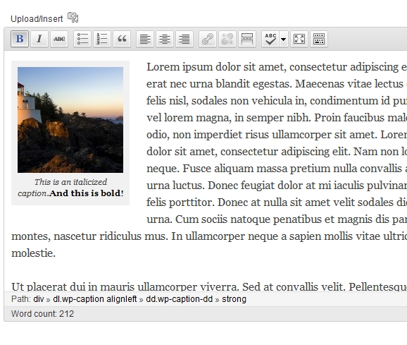 Caption look in editor