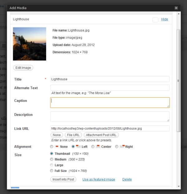 Insert image box in WordPress admin