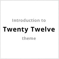 Introduction to the New Twenty Twelve Theme