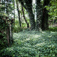Envisioning & Shooting an Environmental Portrait