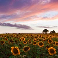 Quick Tip: Double Expose for Better Landscapes