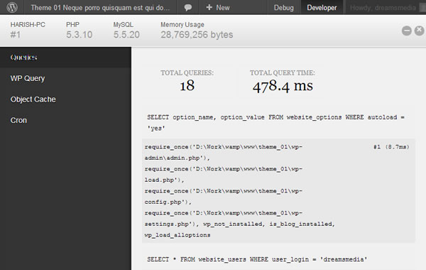 Debug Bar