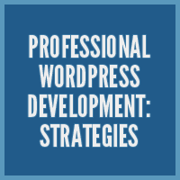 Professional WordPress Development: Strategies
